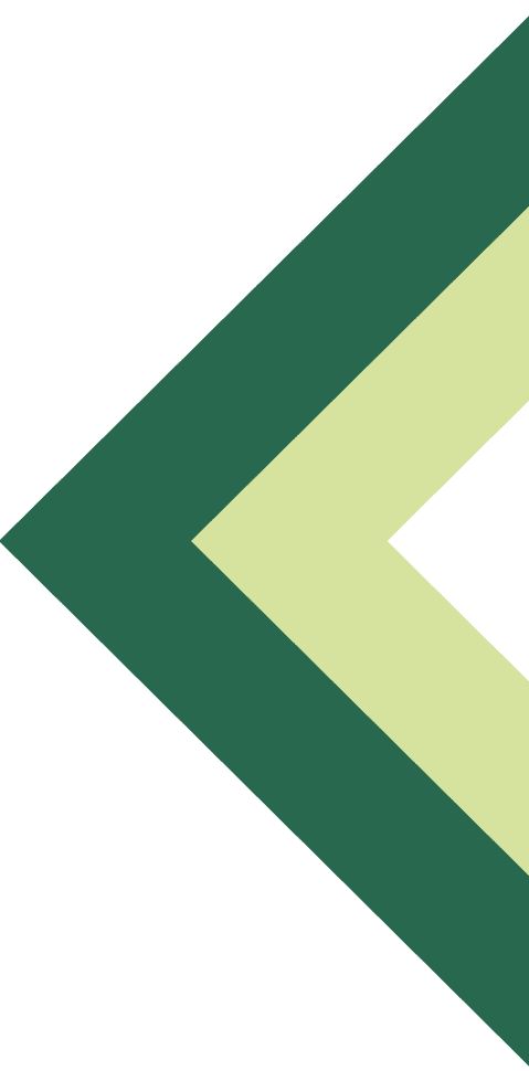 Bagasso